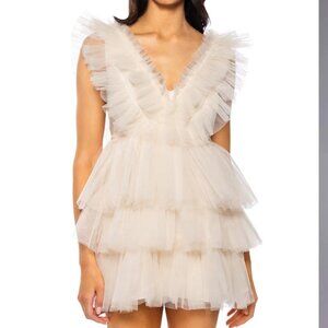 Akira Cream In the Garden Tulle V-Neck Mini Dress Size Small